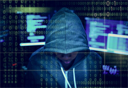 黑客从事电脑网络犯罪, 犯罪行为