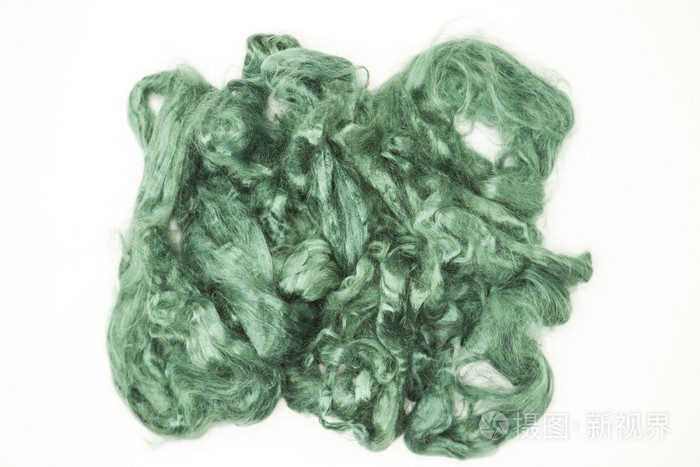 海蓝宝石片绿白色背景上的澳大利亚绵羊羊毛美利奴羊品种特写