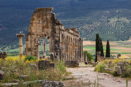 Volubilis在摩洛哥梅克内斯附近的著名的旅游景点和罗马遗址。它被列入联合国教科文组织世界遗产