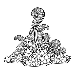 图形史前植物插画