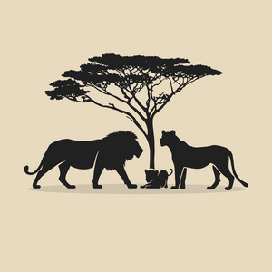 相思的剪影狮子家族剪影照片