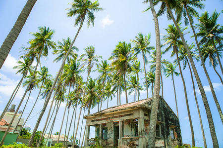 美丽的海滩与蓝天和椰子在梅 Ne, 平顺省, 越南