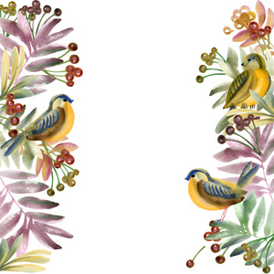 水彩的鸟 花和植物。水彩花卉的天然背景。水彩绘画。鸟，玫瑰，茎叶和果背景