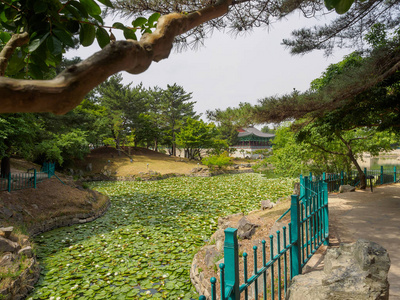 中国  东莞市宫和 Wolji Pond 在韩国庆州