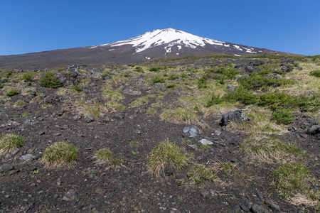 春季富士山顶部雪与自然游憩林径