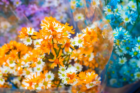 干五颜六色的花束装饰背景, 优雅的花朵