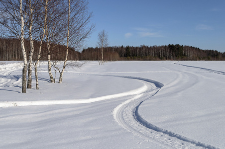 白桦树和村庄郊外的雪场