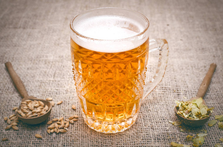 一杯淡啤酒, 散落在啤酒花上, 麦芽和黑麦耳朵在老木桌背景上