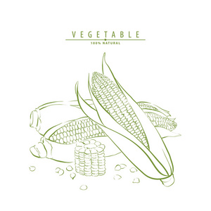 玉米芯向量图片-玉米芯向量素材-玉米芯向量插画-摄图新视界