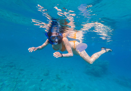 一个年轻女子潜水在热带海 scarried 紫水母的水下拍摄