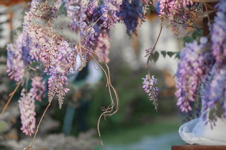 丁香花园里的花