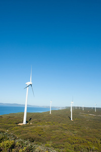 新的风力农场西部澳大利亚图片