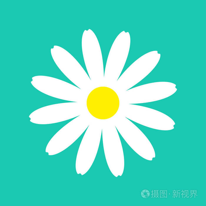 白色菊花甘菊花圆图标蓝色背景