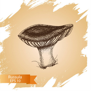 素描红菇蘑菇