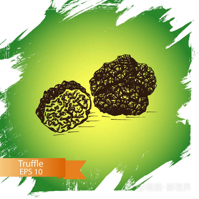 素描-黑松露蘑菇插画-正版商用图片0osi46-摄图新视界