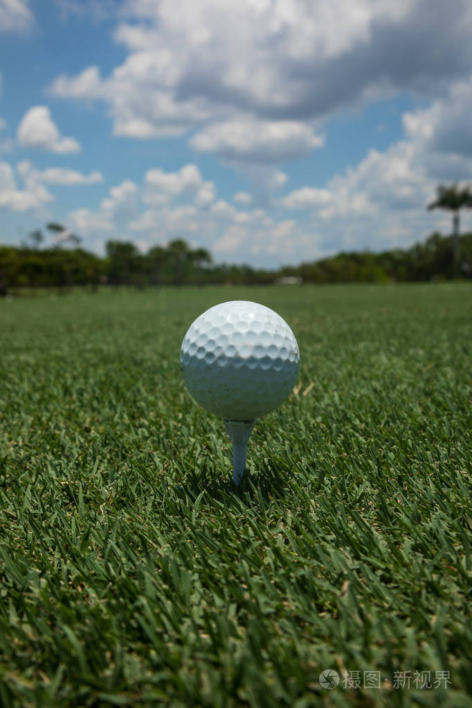 在佛罗里达州的夏天蓝色的天空下, 高尔夫球在绿色的三通上打起了球.
