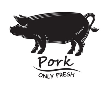 一只猪的插图