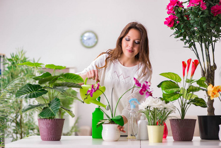 植物在家里照顾的年轻女人