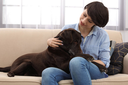 可爱的棕色拉布拉多猎犬与拥有人在沙发室内