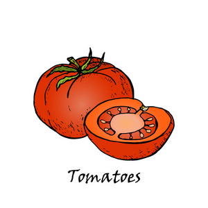 红番茄绿叶手绘插图