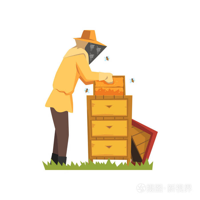 养蜂在保护西装工作的蜂房, 蜂蜜生产过程矢量图白色背景