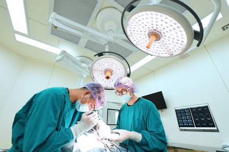 两名兽医外科医生在手术室里图片