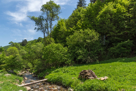 保加利亚 Pazardzhik Rhodopes 山 Fotinovo 村附近 Fotinovo 河景观