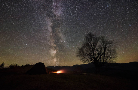 在山谷里露营, 在美丽的夜空星空下, 银河.大树和遥远的山脉背景照片