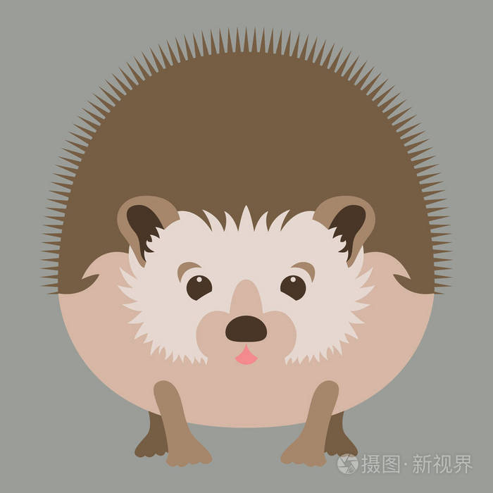 刺猬脸头矢量插画平面样式前面