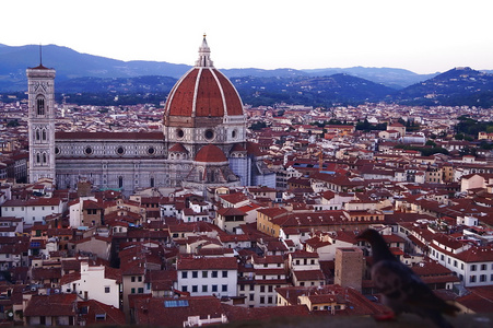 弗洛伦斯从阿诺塔的 Palazzo Vecchio 托斯卡纳意大利佛罗伦萨大教堂的视图