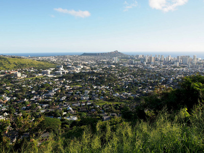 檀香山从钻石头到马诺与 Kaimuki, 卡哈拉, 和 oceanscape 在瓦胡岛上可见的一个美好的一天从高的山与高大的树木