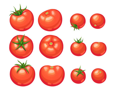 隔离的番茄图标