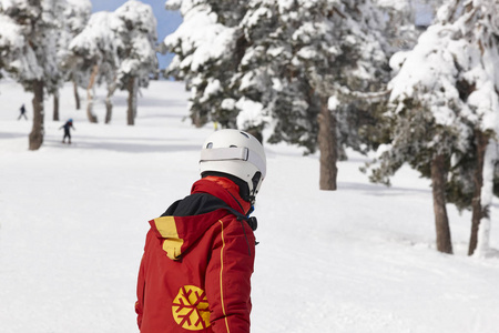 雪林斜坡上的滑雪者。白色山风景。冬季运动