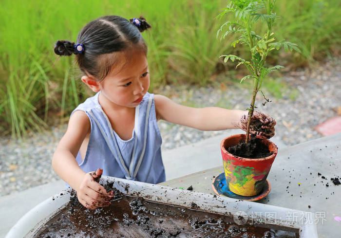 可爱的亚洲孩子女孩种植树在锅里