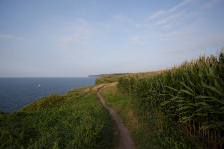 海岸景观。悬崖和冲浪在海岸行