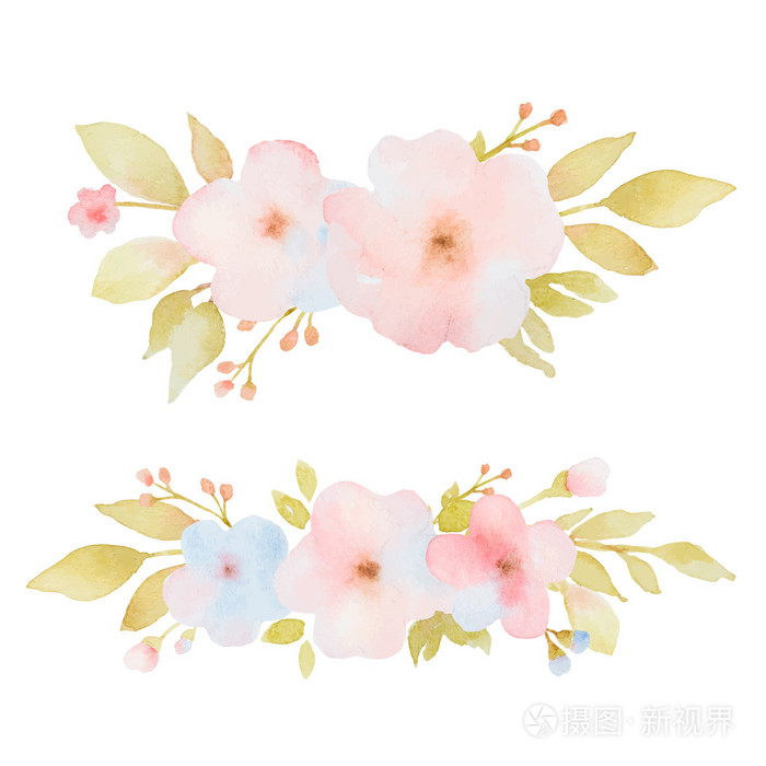 花束的花朵和叶子的水彩画集插画 正版商用图片0otsr1 摄图新视界