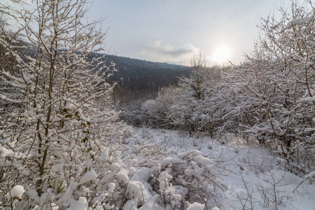 冬季风光与新鲜雪盖, 在特兰西瓦尼亚偏远的农村地区