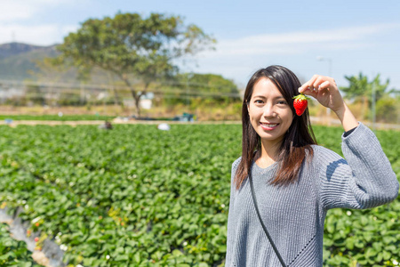 女人在草莓园采摘草莓图片