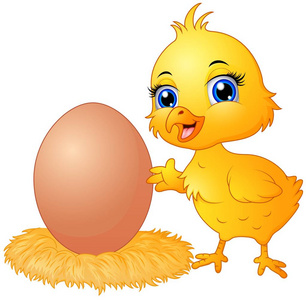 把鸡蛋放在一窝可爱的小鸡卡通照片
