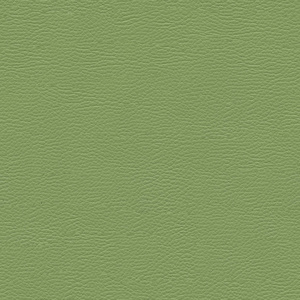 无缝花木仿皮革背景纹理黑色皮革背景纹理与仿木纹模式刷成鲜绿色或