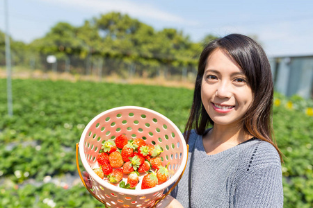 在农场举行收获草莓的女人