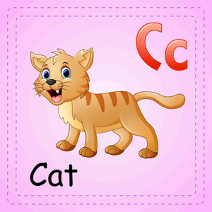 动物字母 C 是只猫