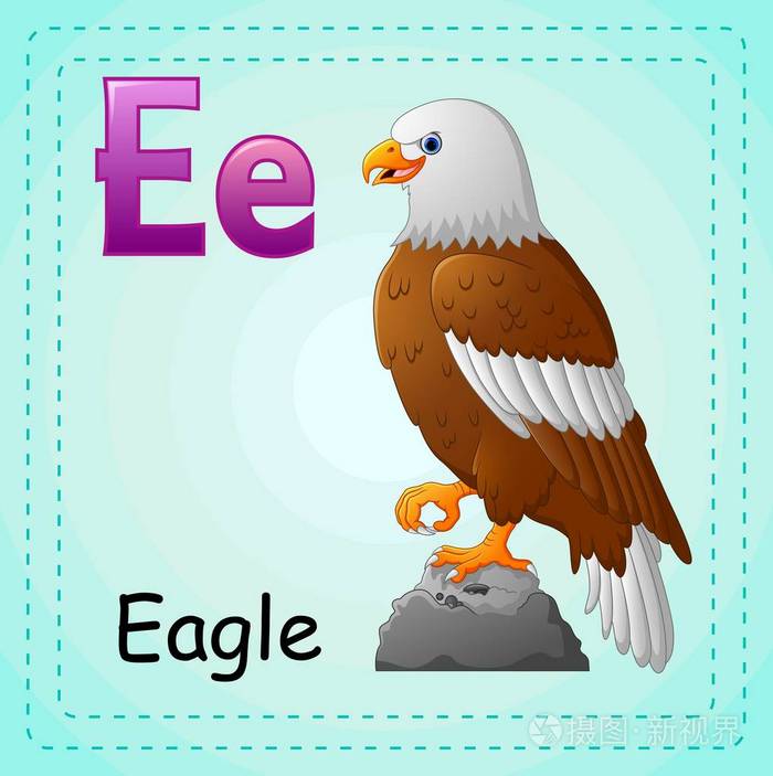 动物字母: e 是鹰