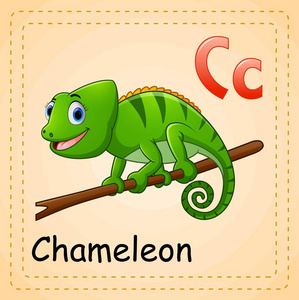 动物字母 C 是变色龙