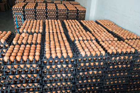 从包中保存以供出售的鸡农场的鸡蛋
