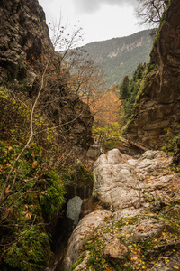 秋季景观与河