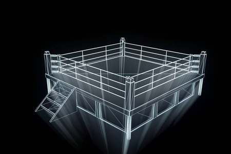 拳击在全息图线框。漂亮的 3d 渲染
