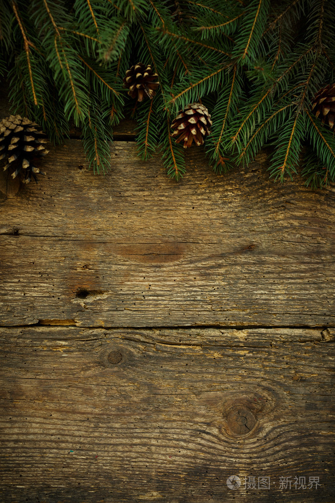 圣诞树枝上木纹理
