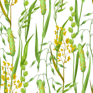 禾杆草插画 禾杆草手绘 禾杆草卡通图 摄图新视界