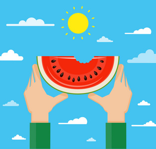 漫画海报插图全国西瓜日庆典横幅4白色无缝图案背景下菠萝小西瓜的